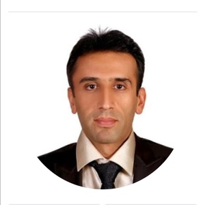 Majid Hajizadeh - Director
